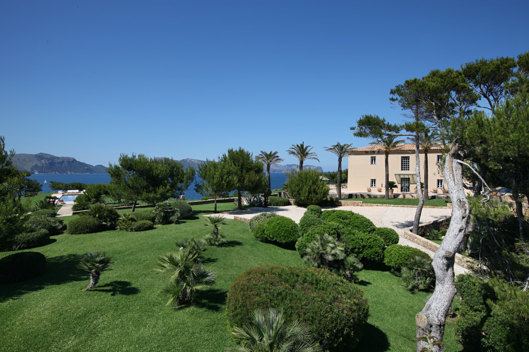The Estate
