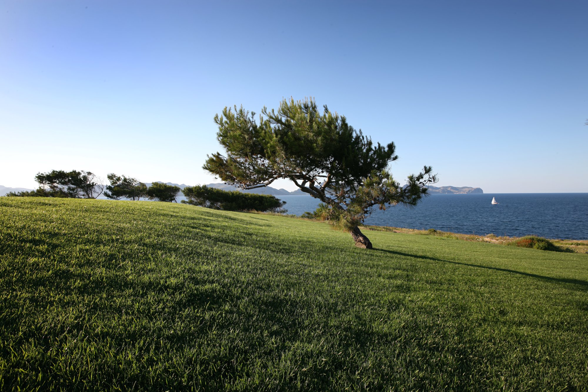 Mediterranean gardens
